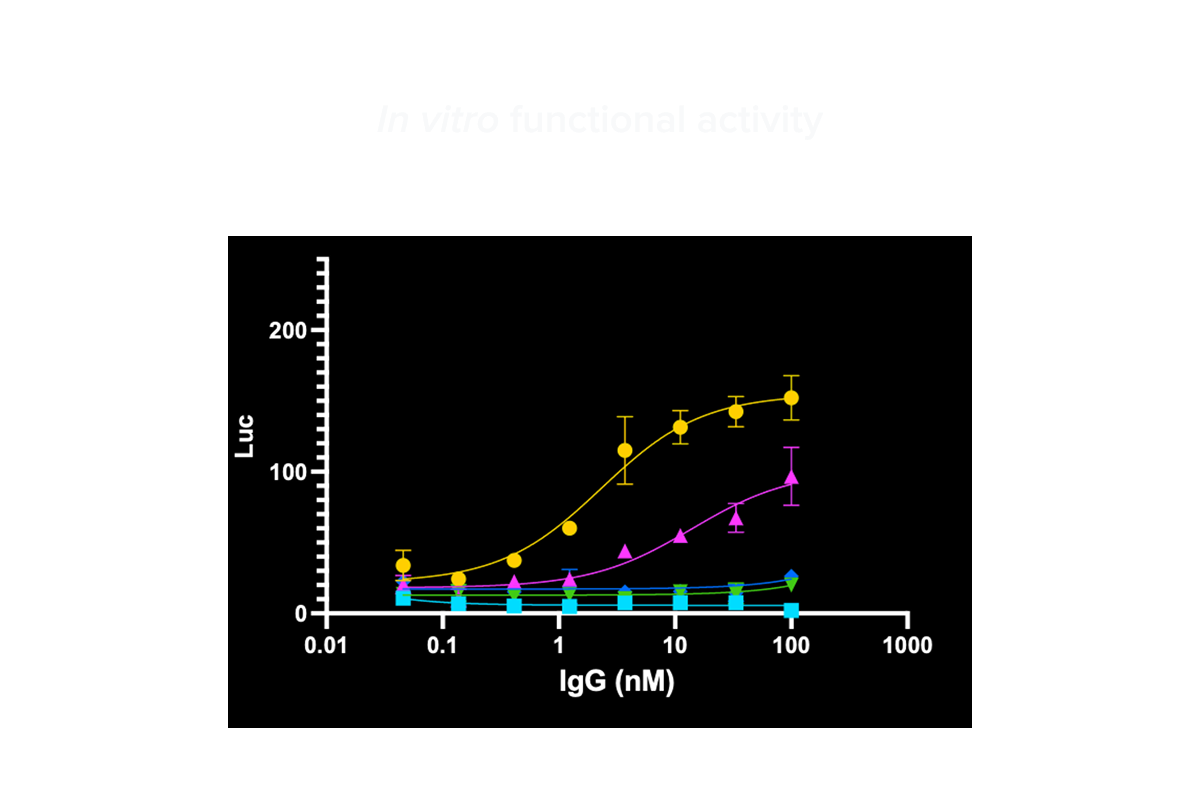 Functional characterization - Customizable assay platforms to evaluate functionality and mechanism of action across multiple cell types.
