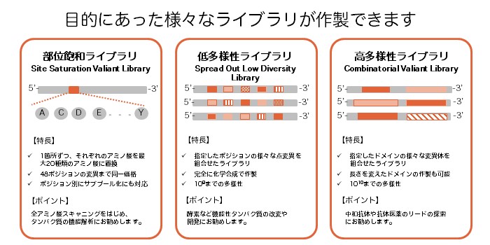 Additional image for 豊富なオプション。
