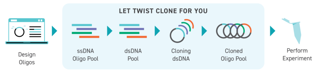 2_Cloned-OP_let-twist-clone-for-you